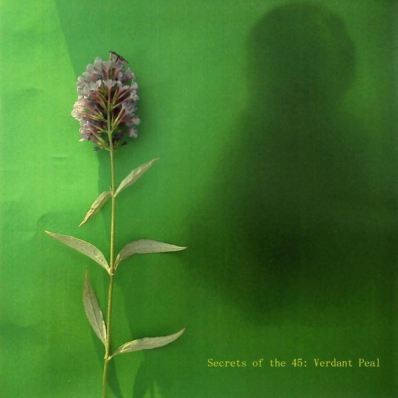 release-cover